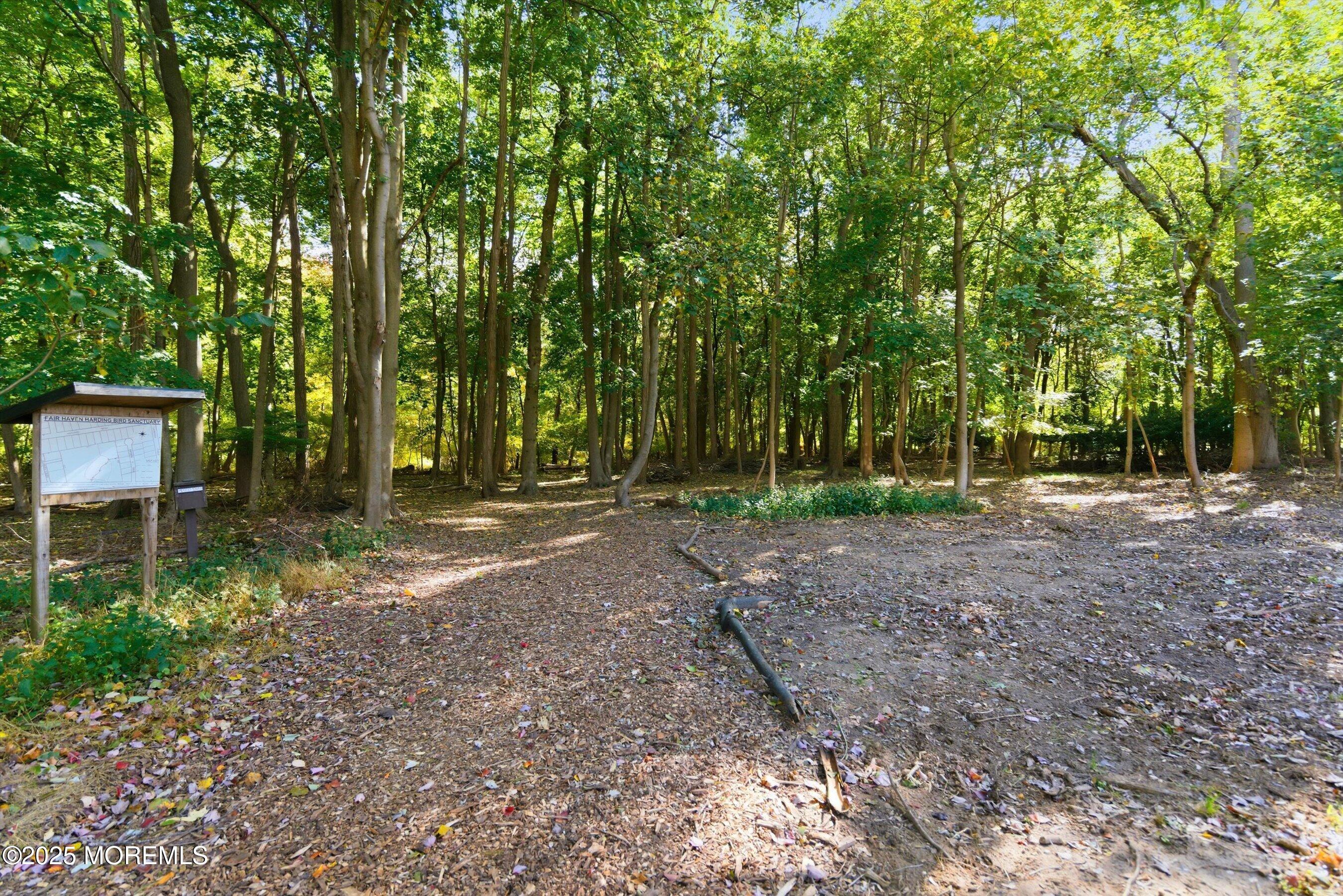 69 Harvard Road Fair Haven, NJ 07704 - Photo 29 of 30 a view of outdoor space with trees