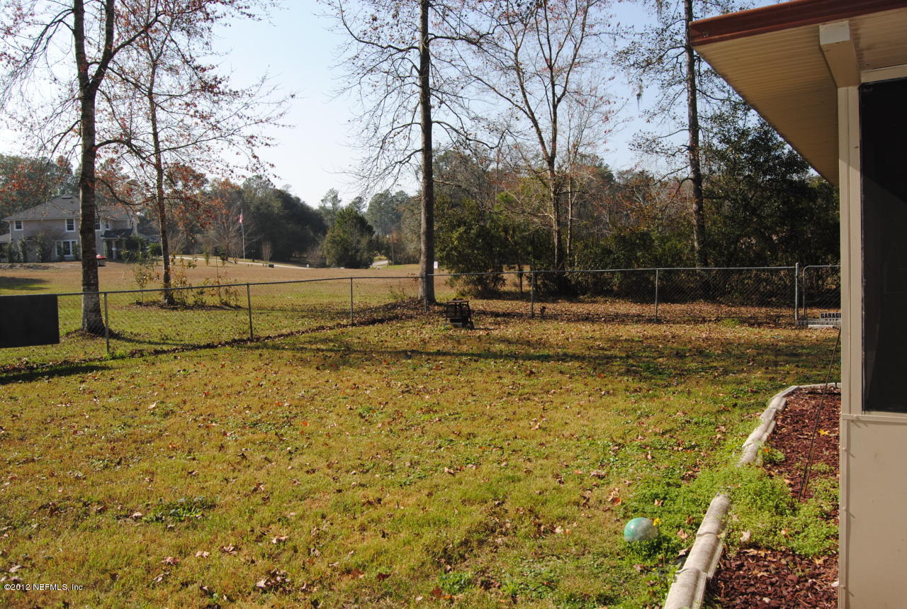 4399 Banks Road Middleburg, FL 32068 - Photo 3 of 4 Backyard