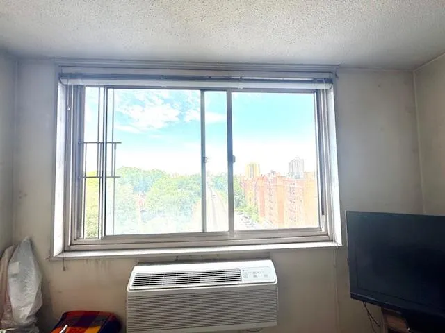 a living room with furniture and a book shelf