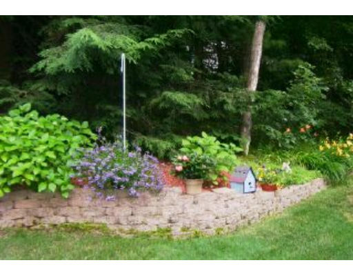 6 Owl Road Londonderry, NH 03053 - Photo 6 of 8 a view of a garden with plants