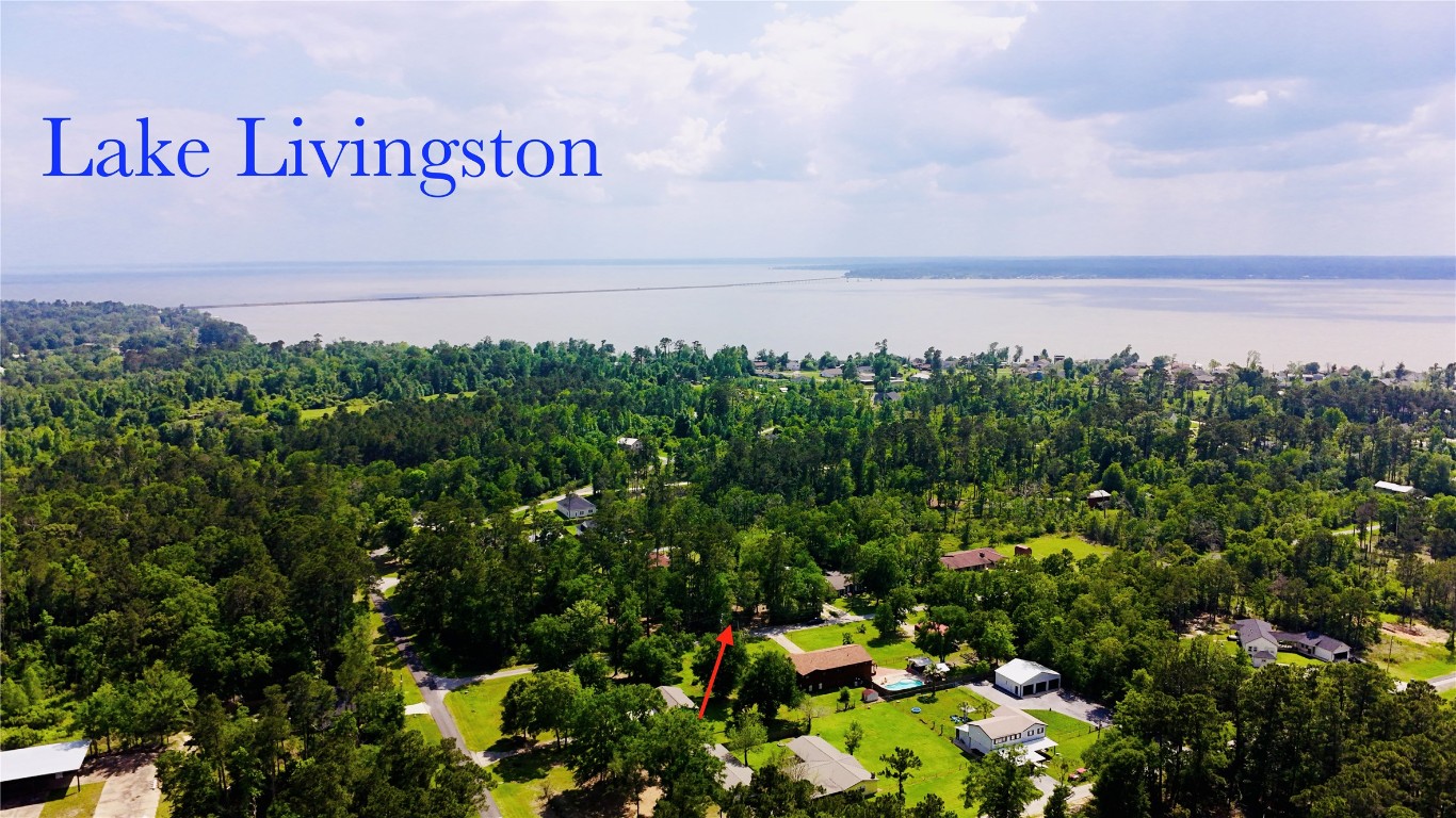 Tbd Tbd Angus Onalaska, TX 77360 - Photo 2 of 9 Aerial view