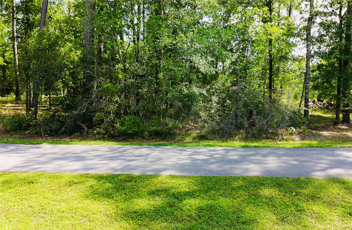 Tbd Tbd Angus Onalaska, TX 77360 - Photo 8 of 9 Street view