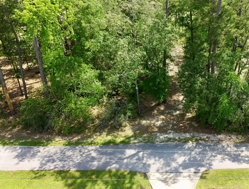 Tbd Tbd Angus Onalaska, TX 77360 - Photo 9 of 9 Street view