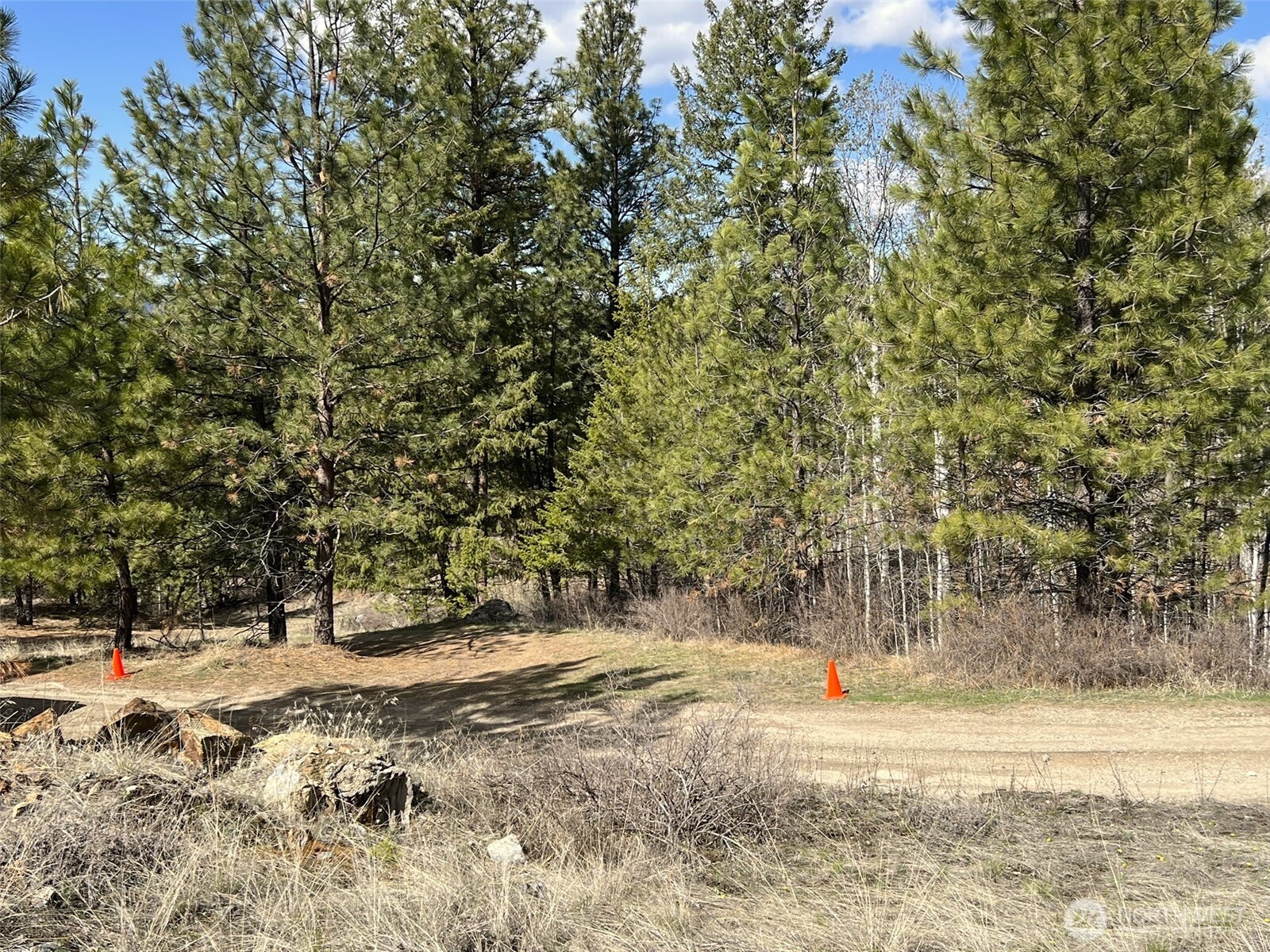 103 Stonehaven Road Tonasket, WA 98855 - Photo 21 of 38 a view of road with trees
