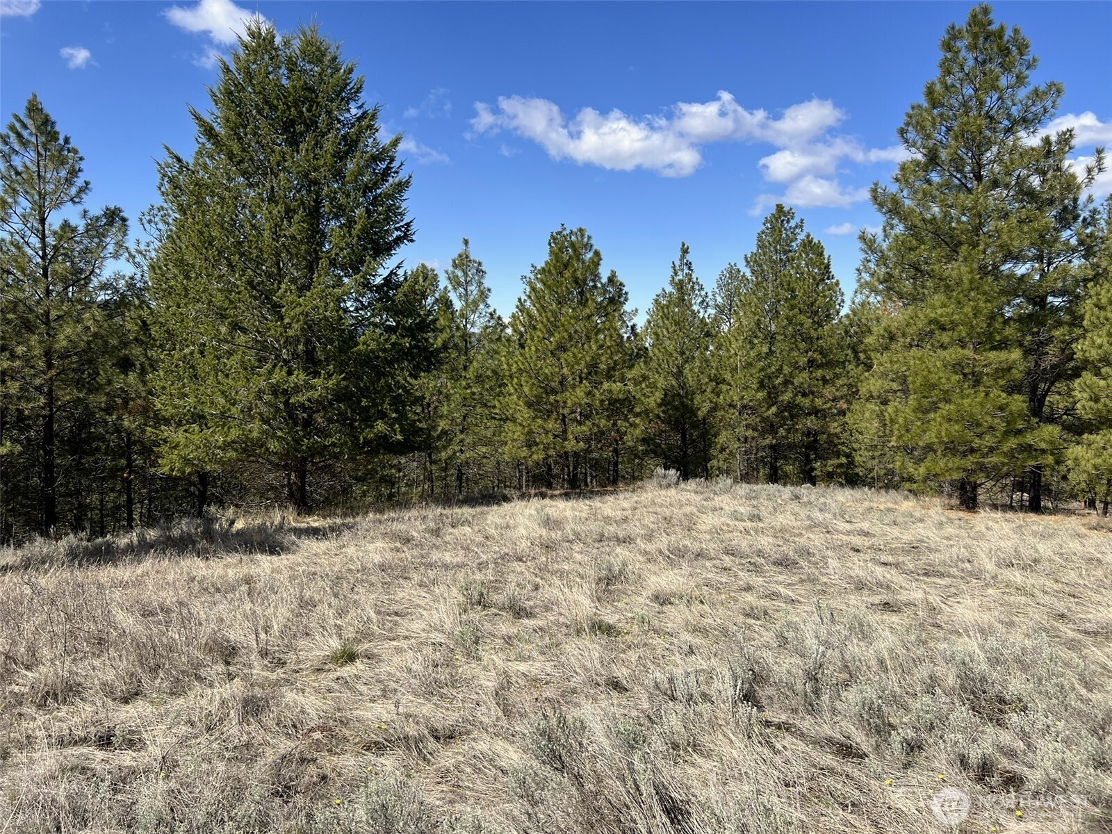 103 Stonehaven Road Tonasket, WA 98855 - Photo 26 of 38 a view of empty space and mountain view