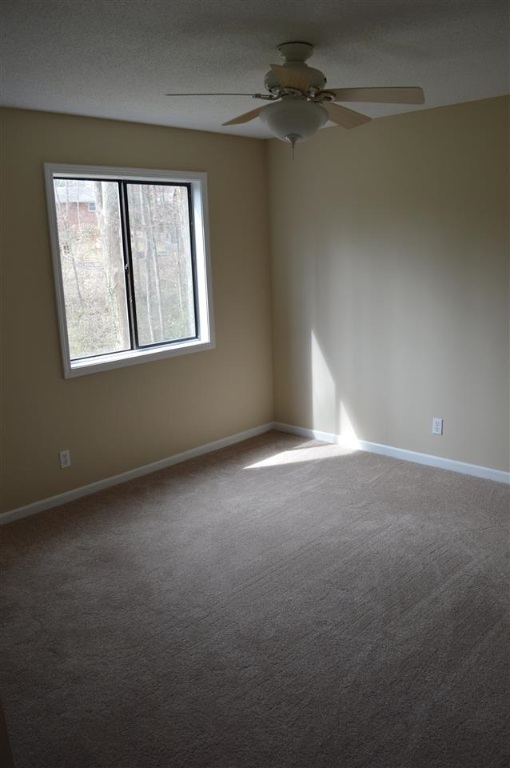 112 Shaftsbury Road Clemson, SC 29631 - Photo 27 of 29 Gallery Image 27