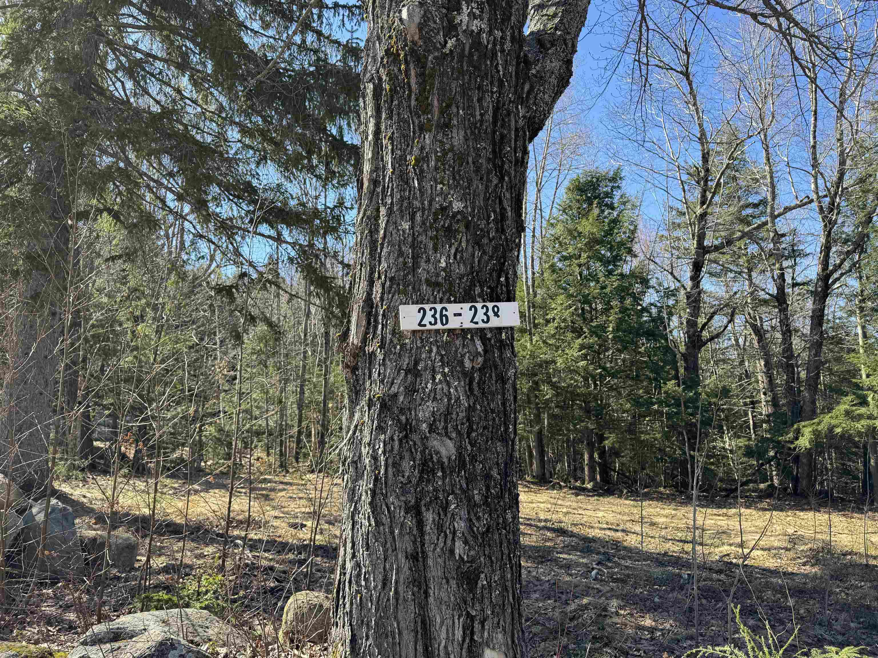 238 Valley Road Ossipee, NH 03814 - Photo 2 of 16