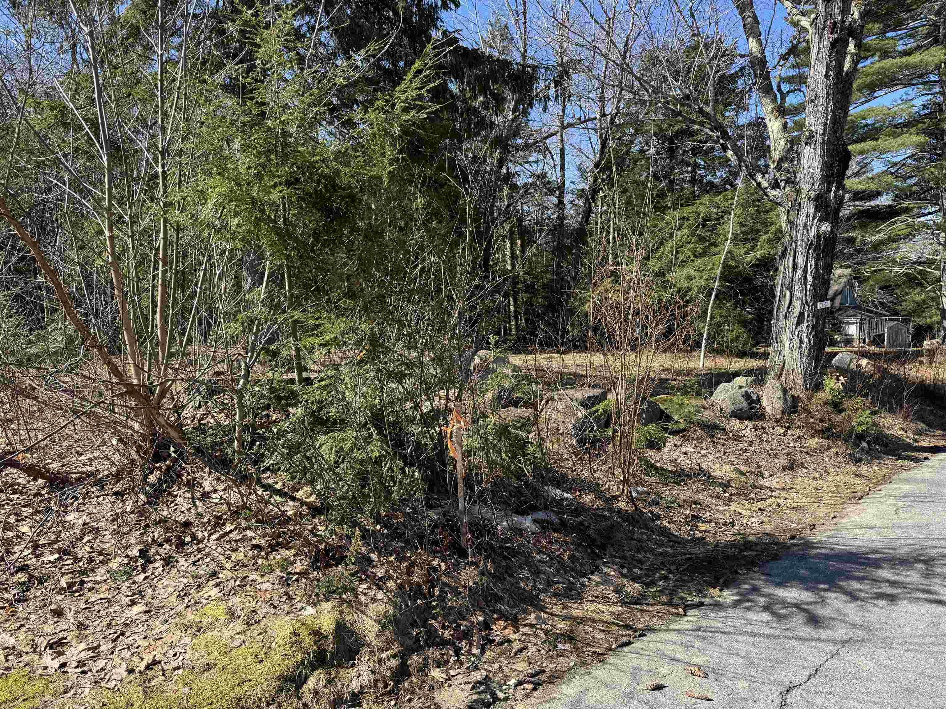 238 Valley Road Ossipee, NH 03814 - Photo 10 of 16