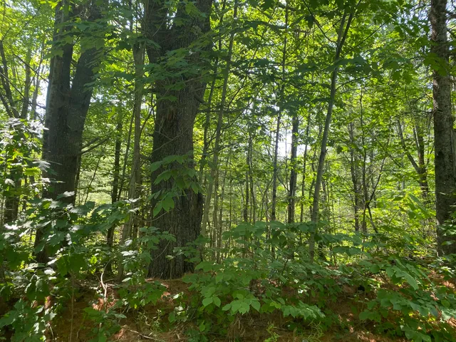 $55,000 | Map1-lot25 Taylor Road, Athens, ME 04912