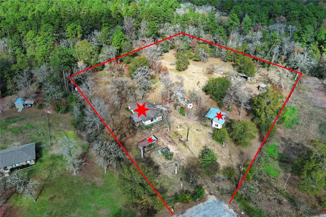 a view of a forest with trees