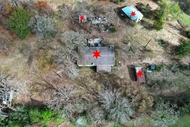 a view of a yard with plants and tree