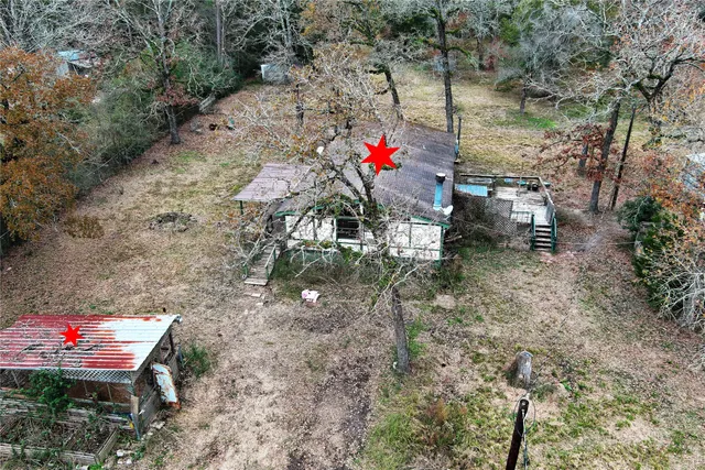 a view of a forest with trees
