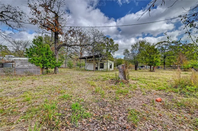 an outdoor space with couple of flower plants