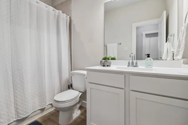 a bathroom with a sink a toilet and shower curtain