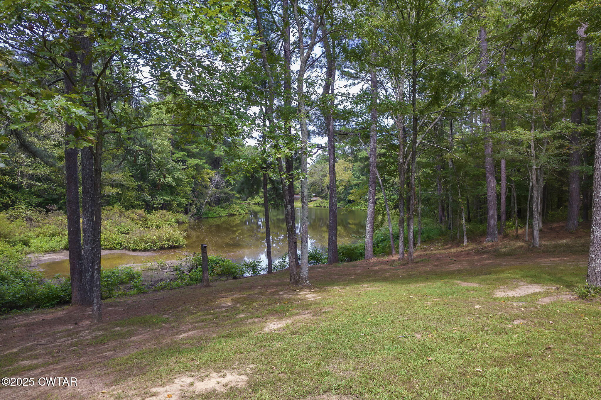 180 Medon Malesus Road Medon, TN 38356 - Photo 50 of 73 a view of a field with trees in front of it
