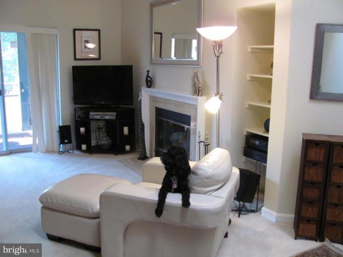 13706 Modrad Way, Unit 43 Silver Spring, MD 20904 - Photo 2 of 25 LIVING ROOM