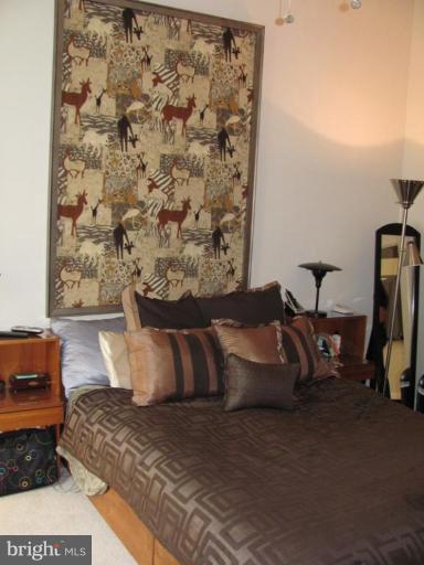 13706 Modrad Way, Unit 43 Silver Spring, MD 20904 - Photo 14 of 25 Master Bedroom