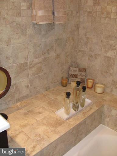 13706 Modrad Way, Unit 43 Silver Spring, MD 20904 - Photo 16 of 25 Master Bath #2