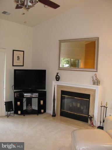 13706 Modrad Way, Unit 43 Silver Spring, MD 20904 - Photo 4 of 25 Fireplace