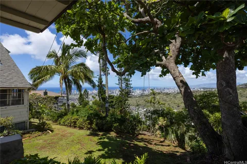 a view of a yard with plants