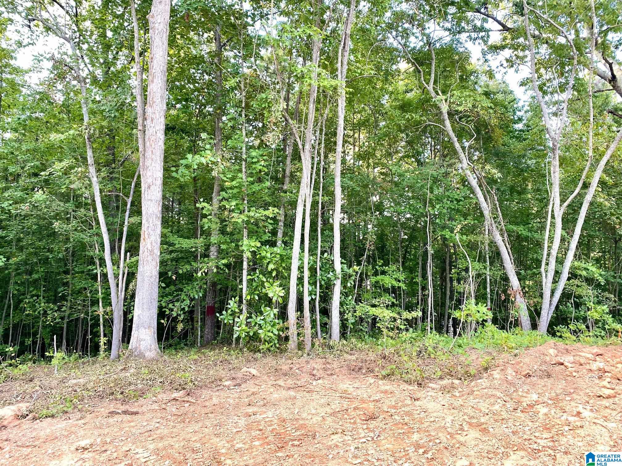 0 County Road 852, Unit 1 Ranburne, AL 36273 - Photo 2 of 11