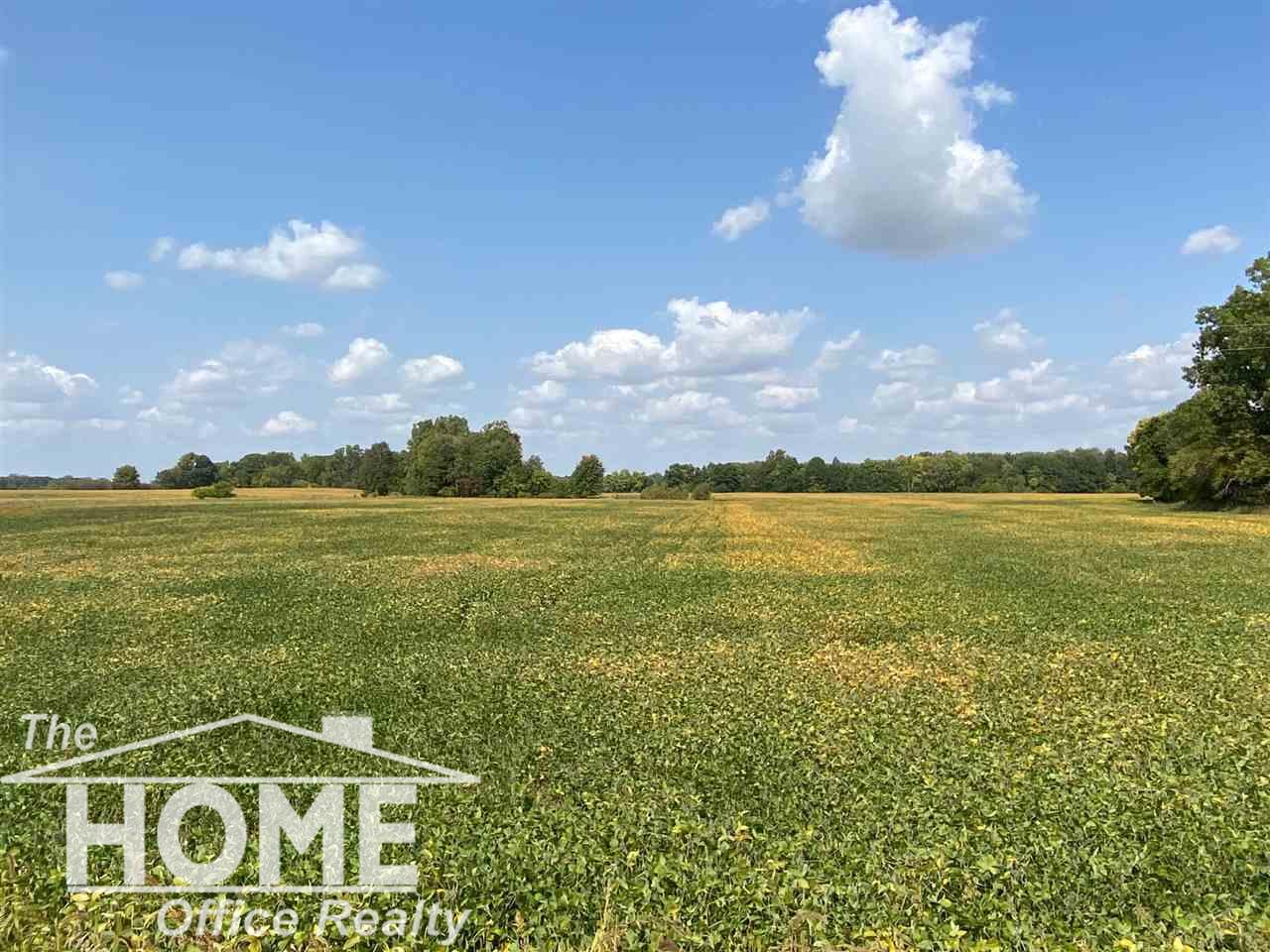 6675 Goodall Road Durand, MI 48429 - Photo 9 of 56