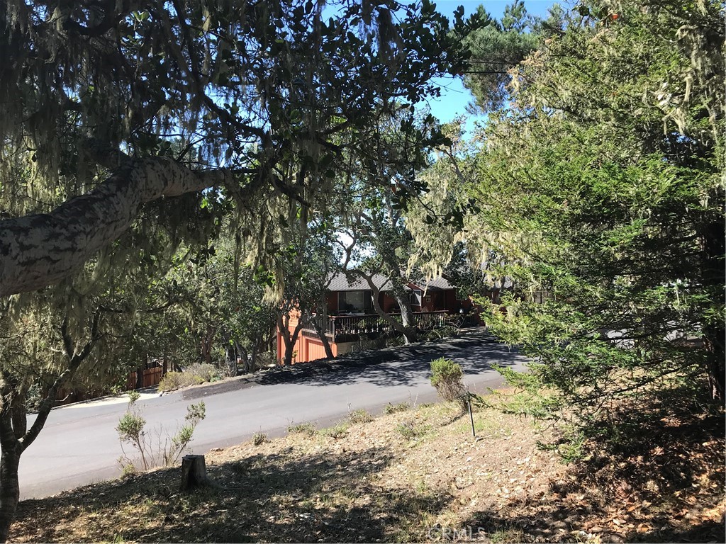 0 St James Road Cambria, CA 93428 - Photo 2 of 10 a view of snow on the road