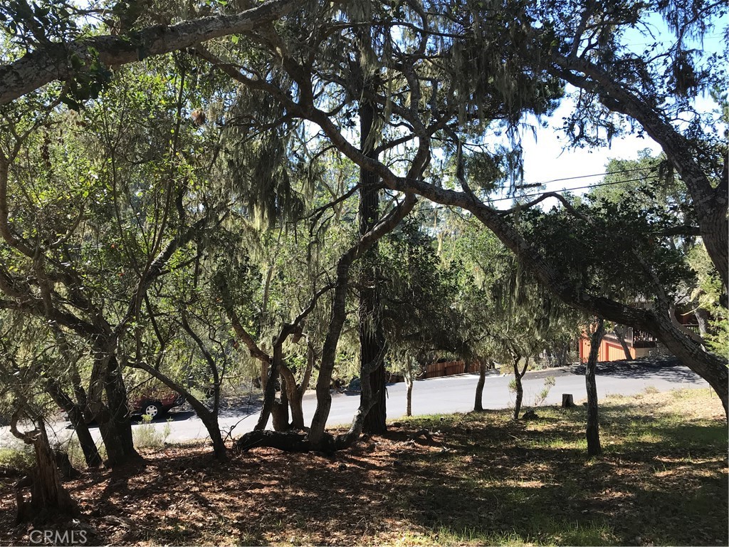 0 St James Road Cambria, CA 93428 - Photo 3 of 10 a view of a yard