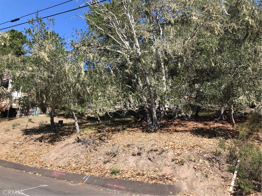 0 St James Road Cambria, CA 93428 - Photo 10 of 10 a view of a backyard of the house