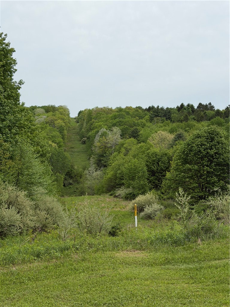 0 Campbell Hill Road Owego, NY 13827 - Photo 9 of 17