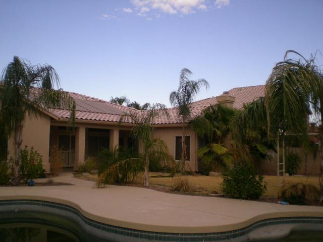 Pool & Back Yard