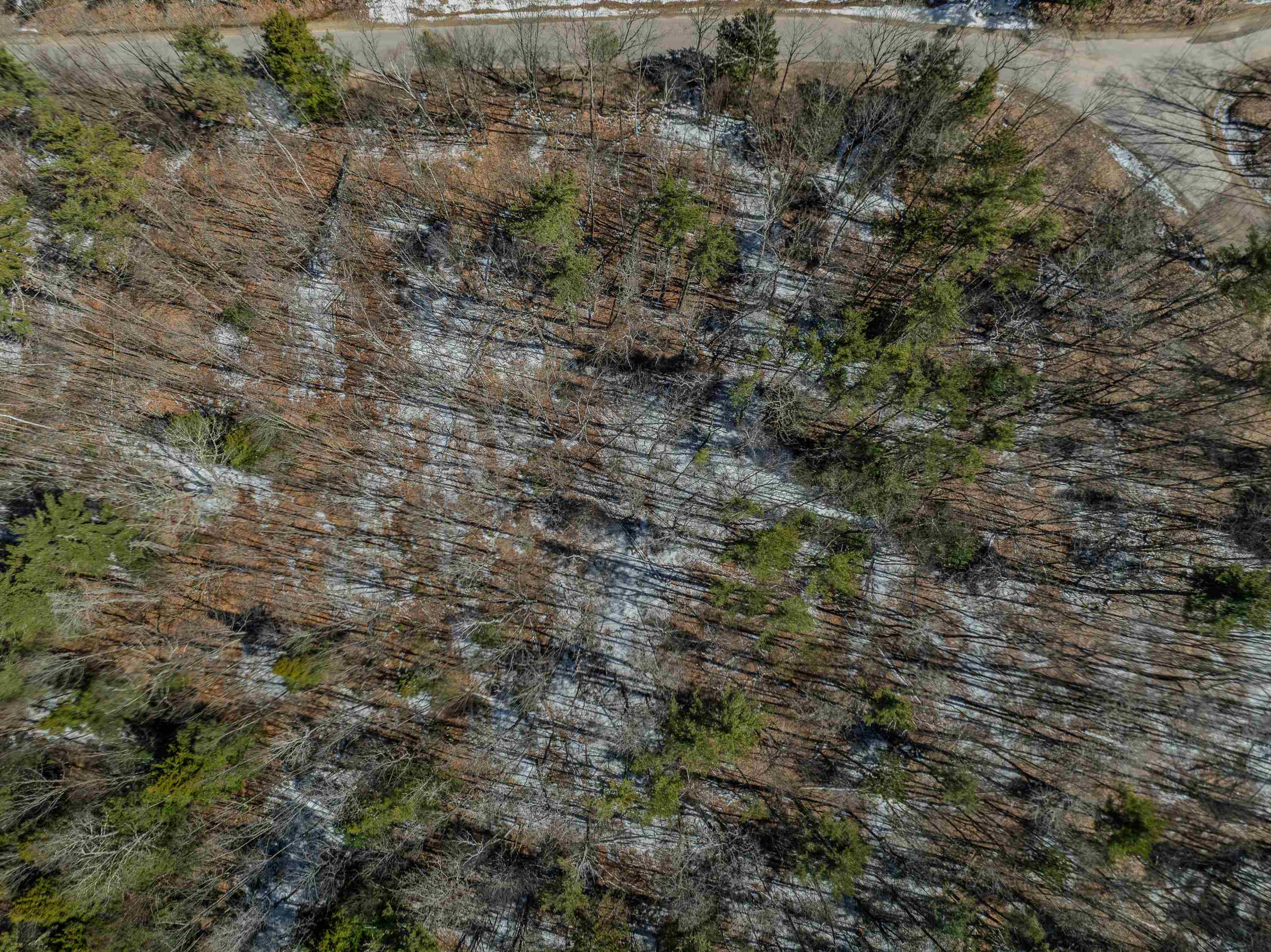 233-085 Reservoir Road Plymouth, NH 03264 - Photo 14 of 24