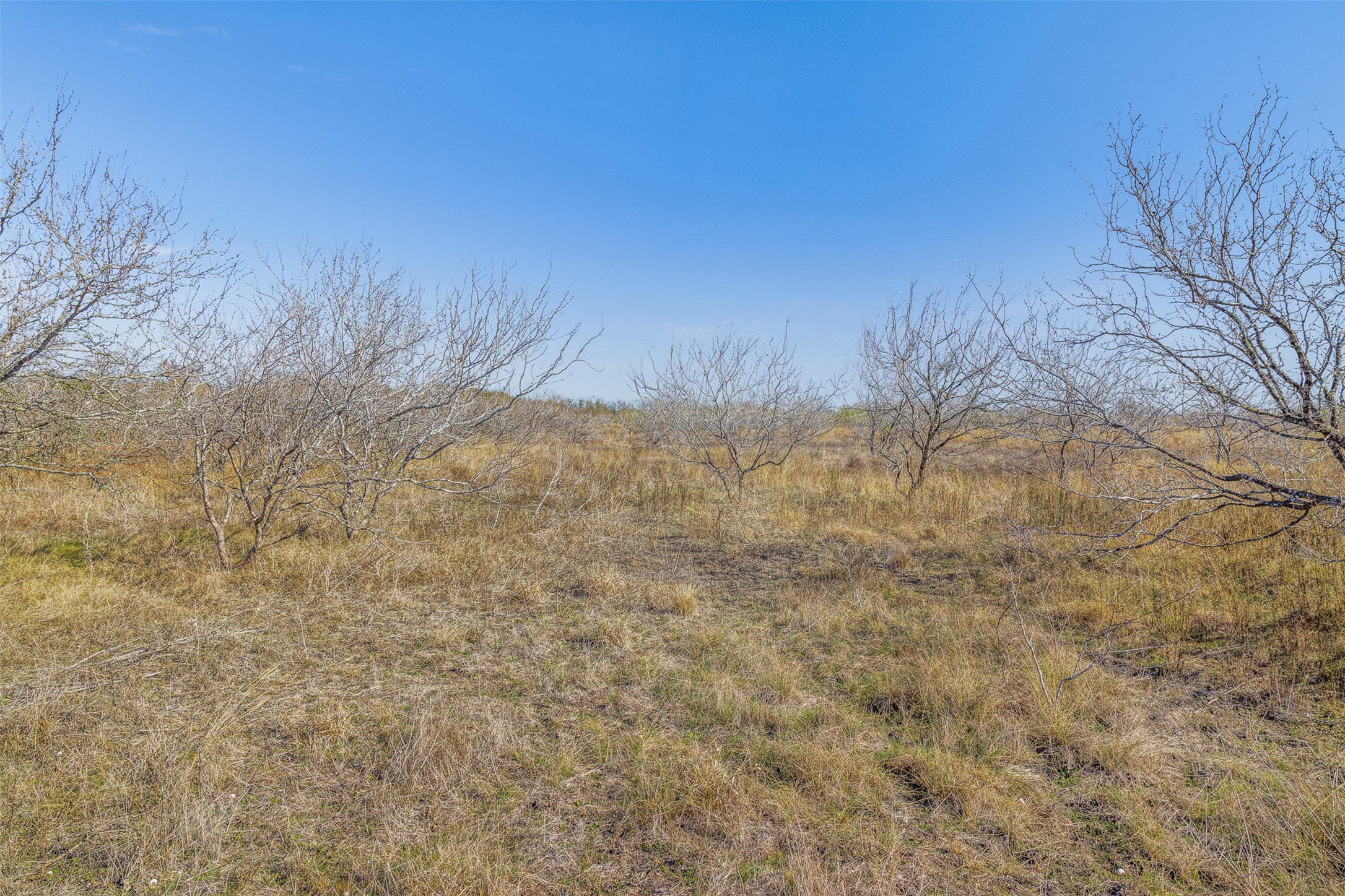 5225 Fm 2001 Buda, TX 78610 - Photo 35 of 40 a view of a yard
