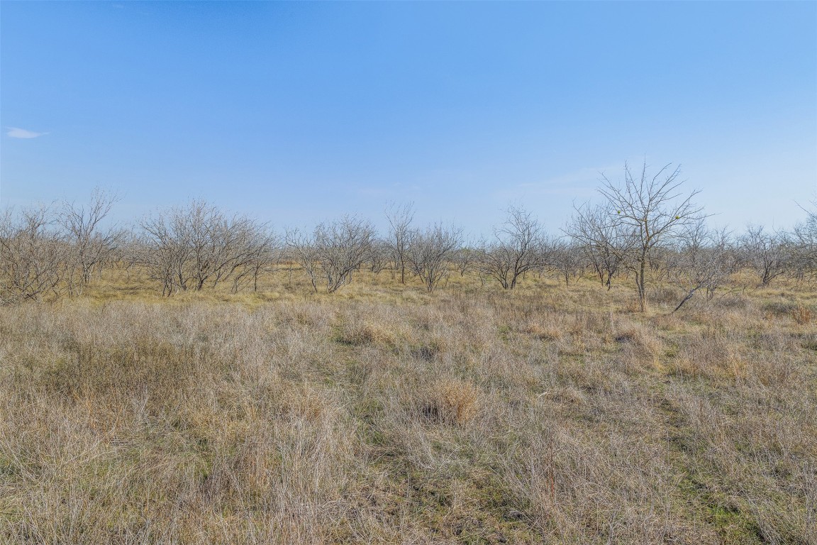 5225 Fm 2001 Buda, TX 78610 - Photo 36 of 40 View of local wilderness featuring rural landscape