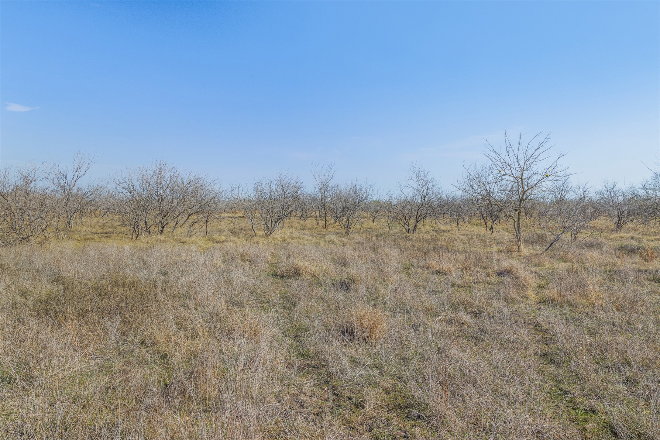 5225 Fm 2001 Buda, TX 78610 - Photo 36 of 40 a view of a dry grass field