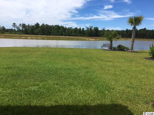 412 Carrick Loop Longs, SC 29568 - Photo 14 of 40 Gallery Image 14