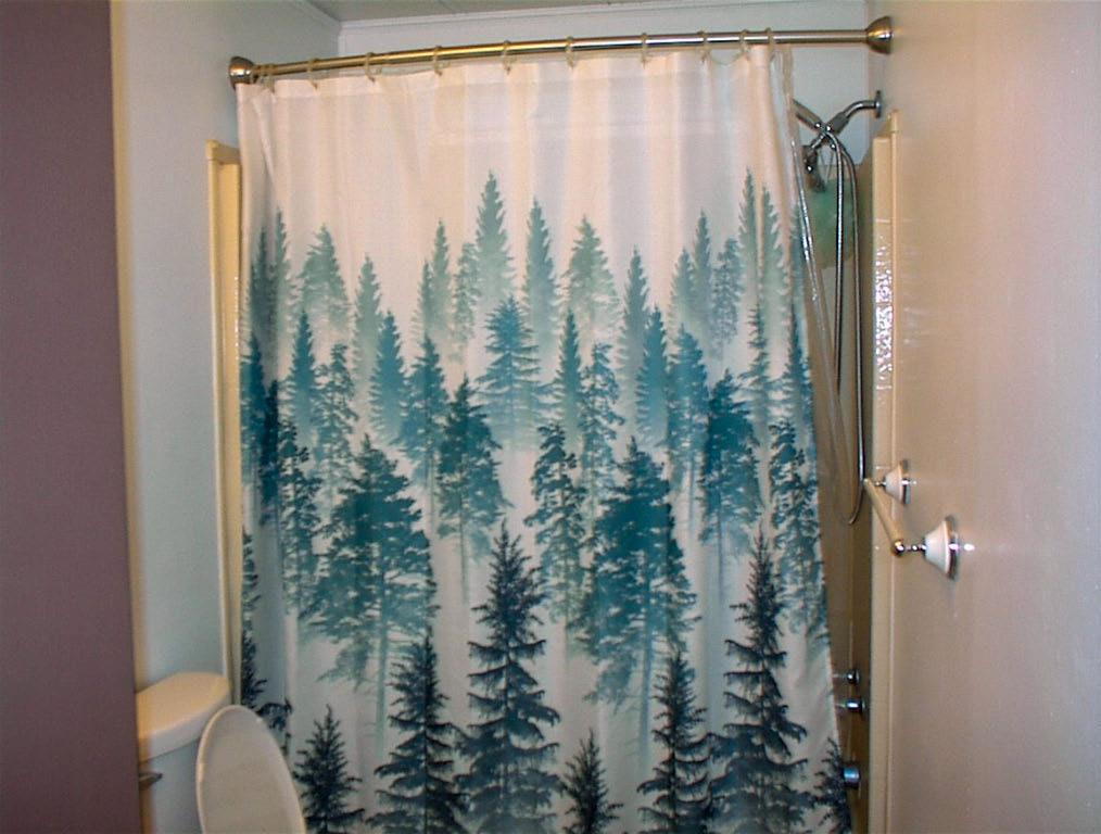 37314 Mistletoe Road Squaw Valley, CA 93675 - Photo 19 of 27 a bathroom with a shower curtain and a toilet