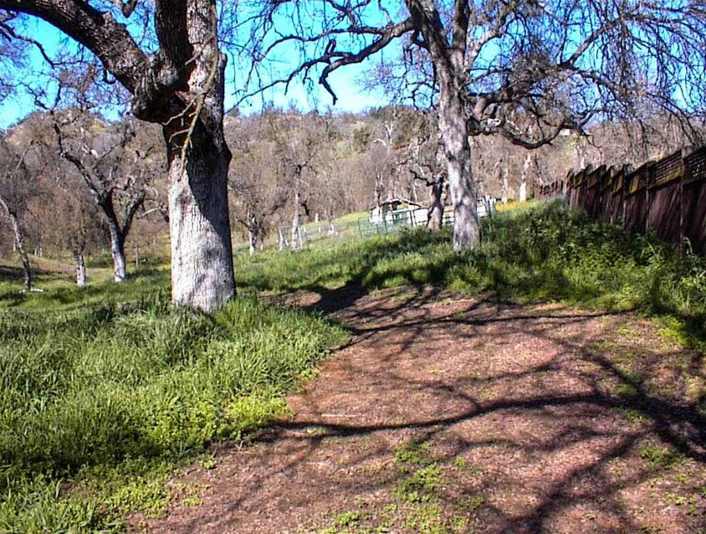 37314 Mistletoe Road Squaw Valley, CA 93675 - Photo 24 of 27 a backyard of a house with lots of green space