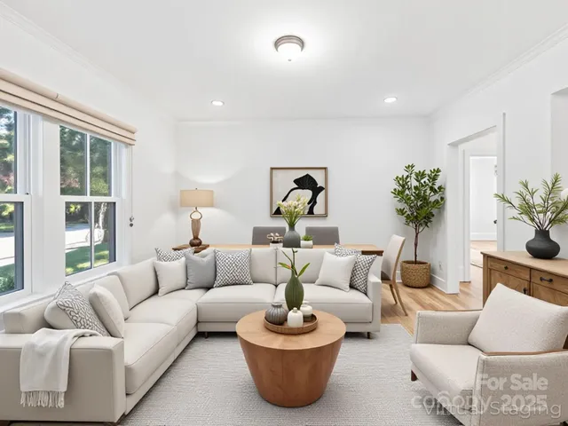 a living room with furniture and a potted plant