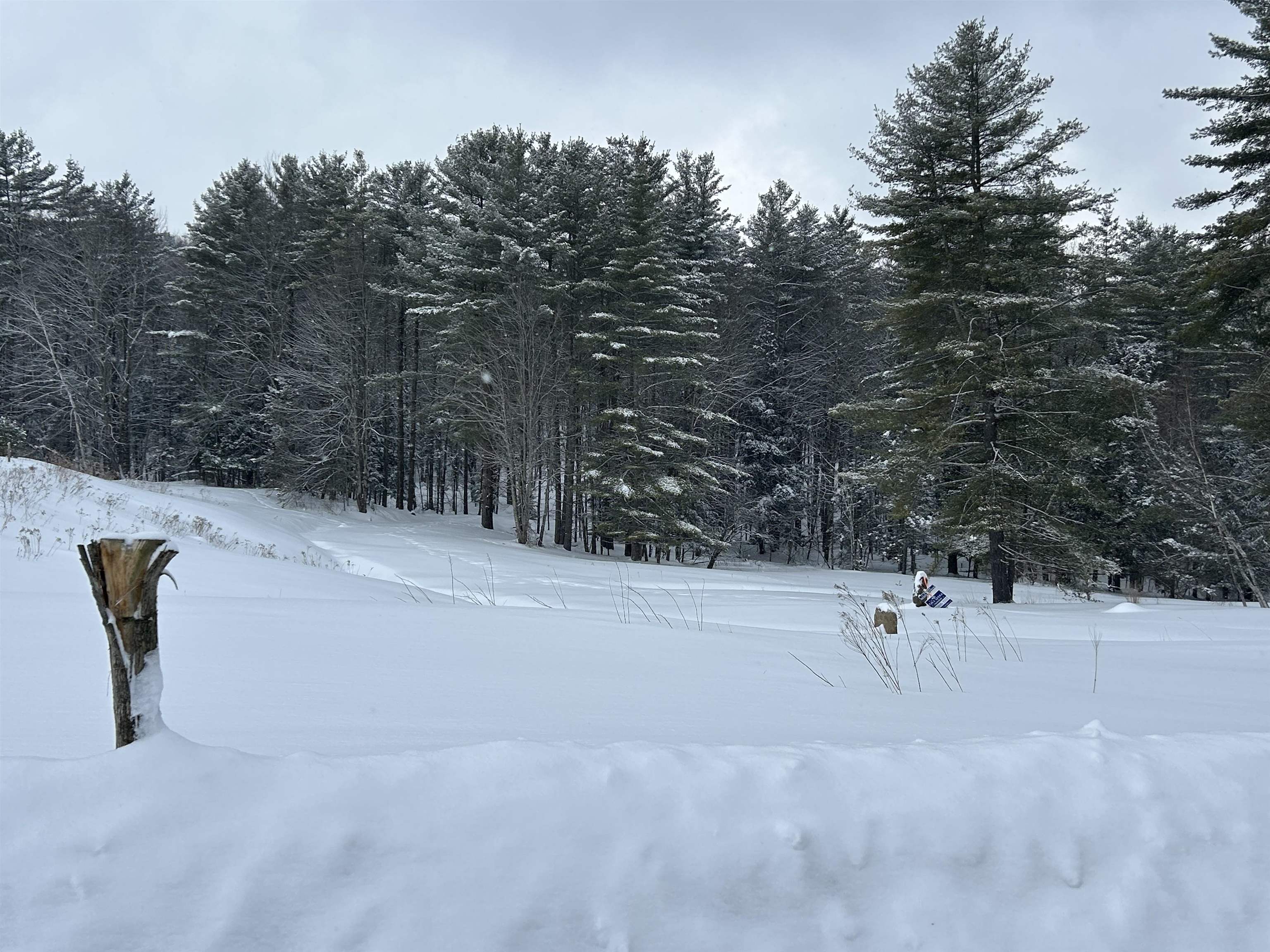0 Rocky Road Johnson, VT 05656 - Photo 11 of 19