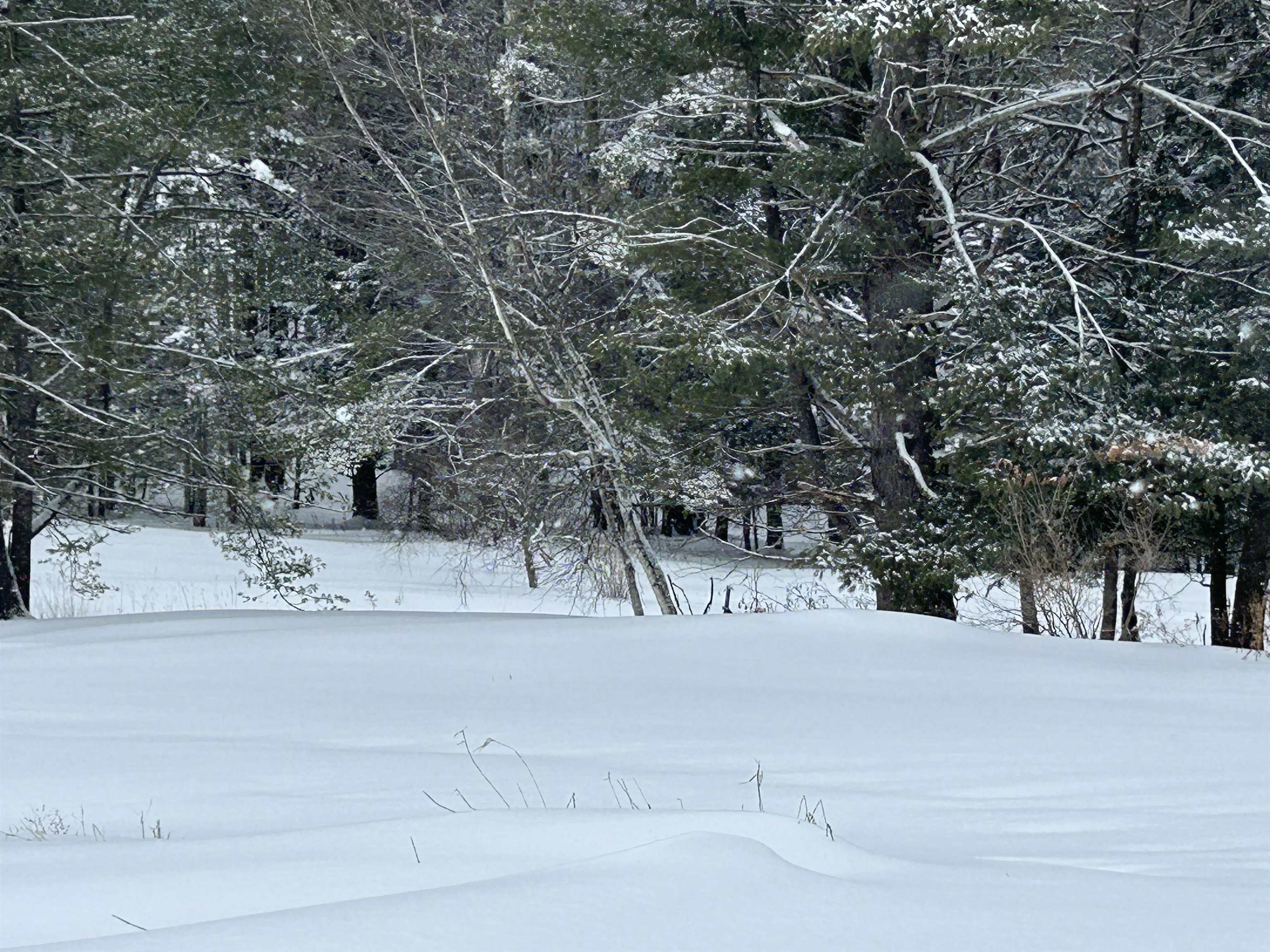 0 Rocky Road Johnson, VT 05656 - Photo 13 of 19