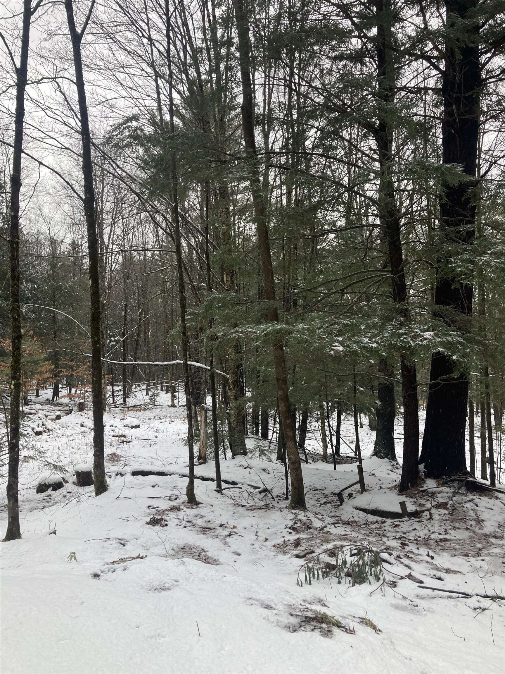 0 Rocky Road Johnson, VT 05656 - Photo 15 of 19