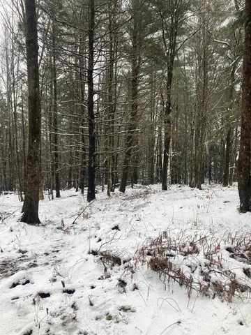 $319,000 | 0 Rocky Road, Johnson, VT 05656