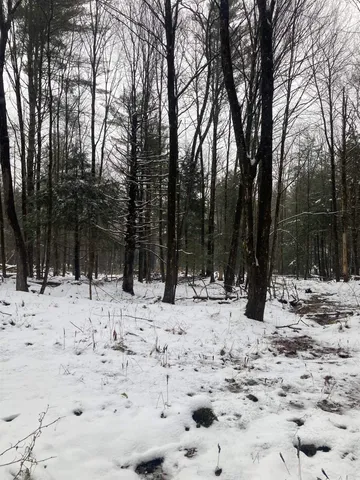 $319,000 | 0 Rocky Road, Johnson, VT 05656