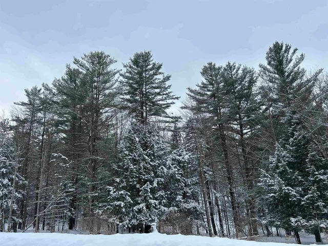 $319,000 | 0 Rocky Road, Johnson, VT 05656