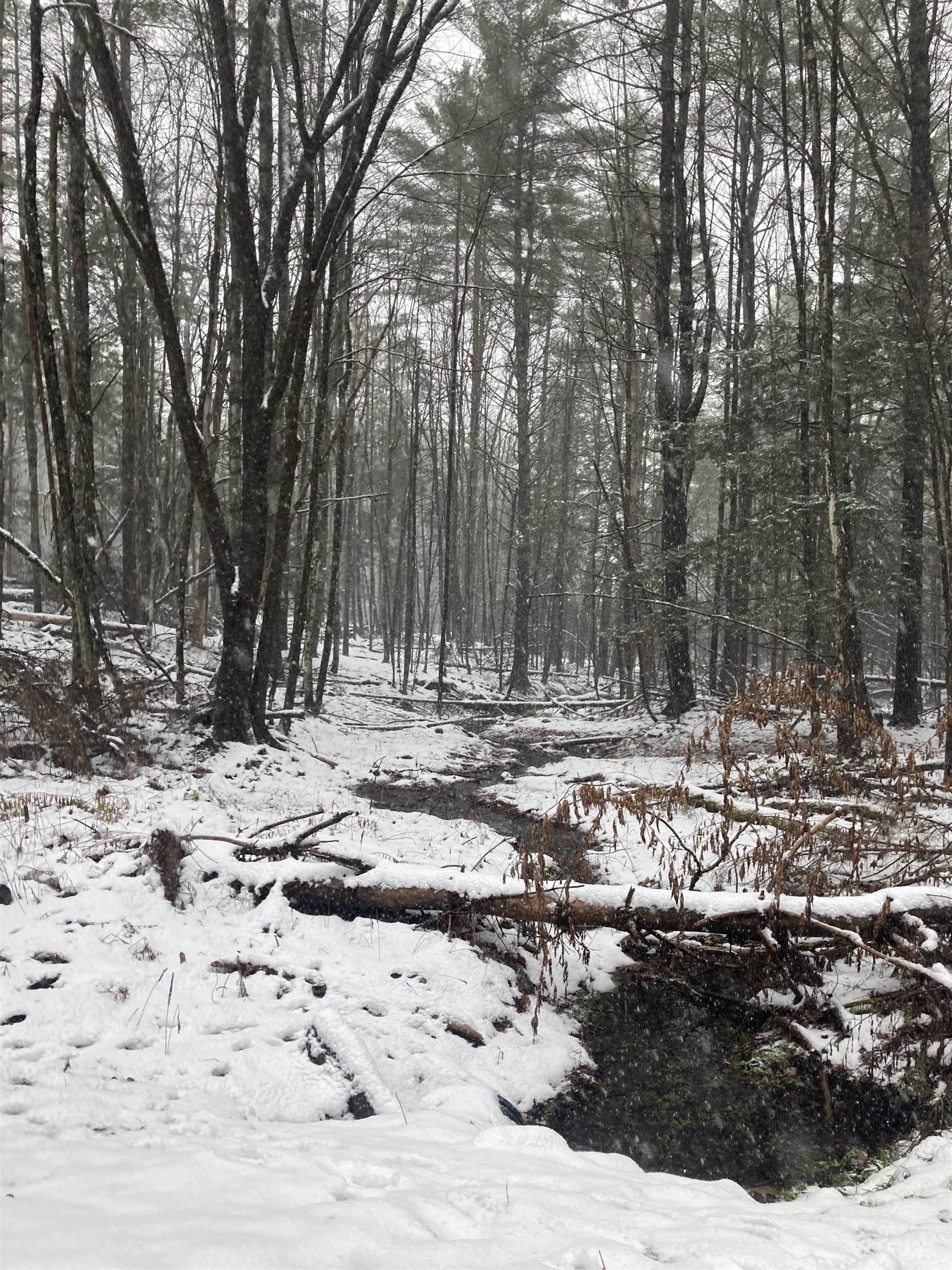 0 Rocky Road Johnson, VT 05656 - Photo 2 of 6