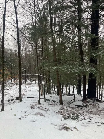 $319,000 | 0 Rocky Road, Johnson, VT 05656