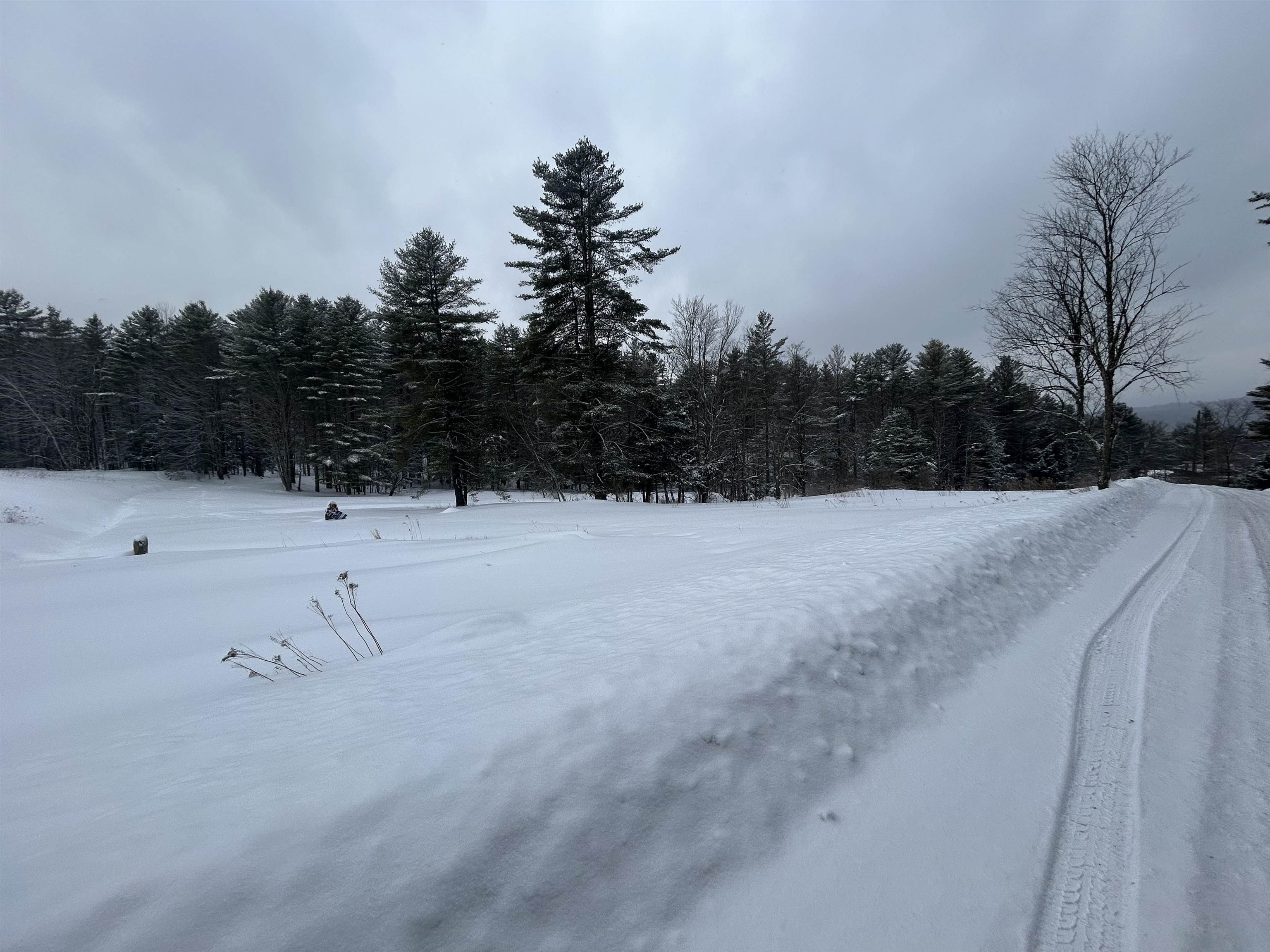 0 Rocky Road Johnson, VT 05656 - Photo 4 of 19