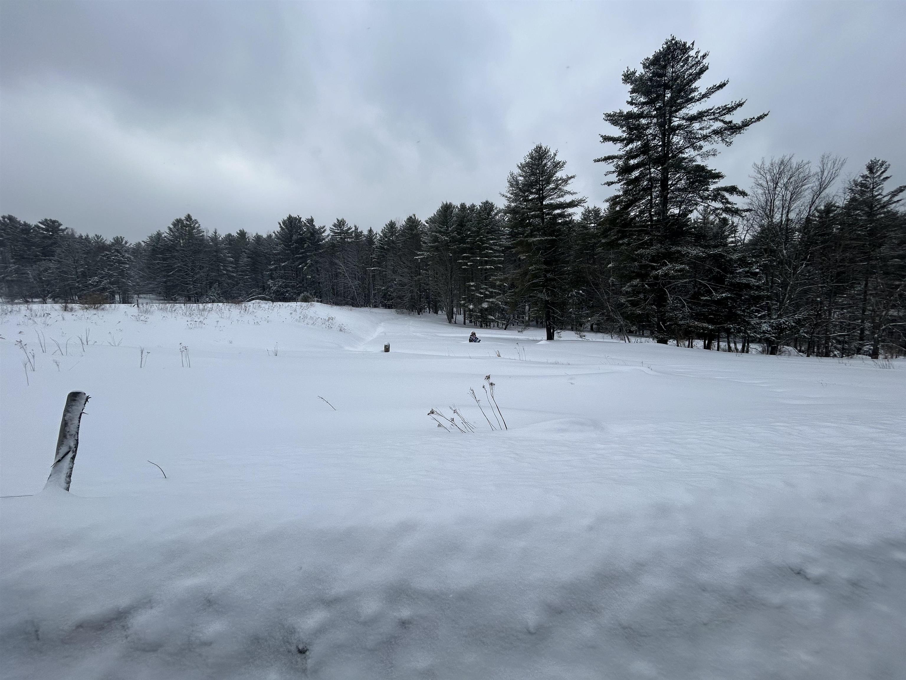 0 Rocky Road Johnson, VT 05656 - Photo 5 of 19