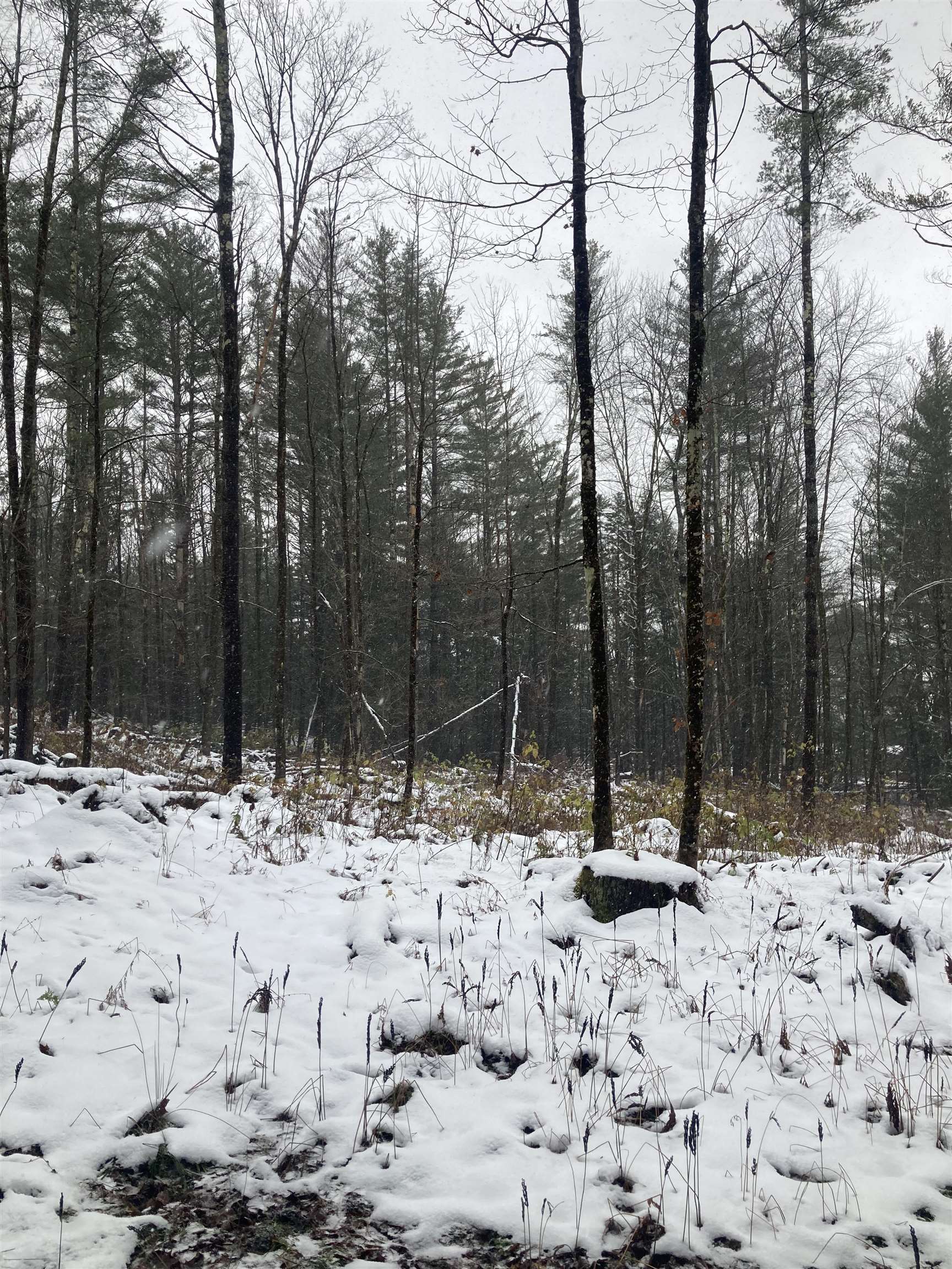 0 Rocky Road Johnson, VT 05656 - Photo 5 of 6